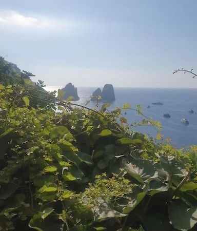 Casa Al Mare Villa Capri Bagian luar foto