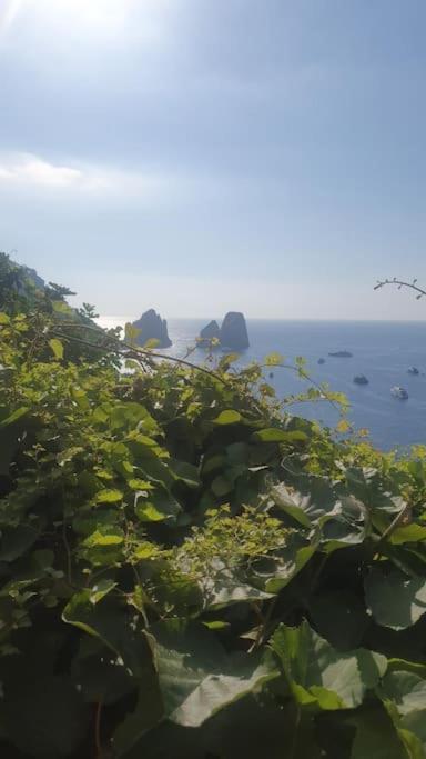 Casa Al Mare Villa Capri Bagian luar foto